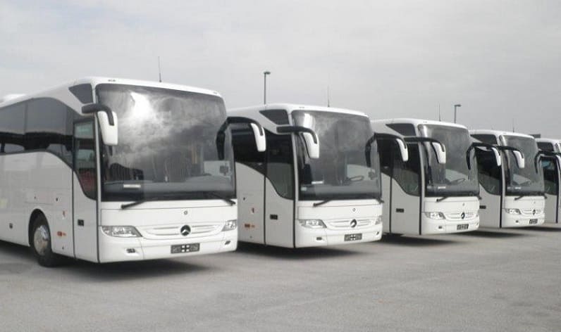 Malta region: Bus company in Santa Venera in Santa Venera and Malta